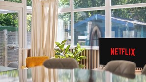 Une pièce avec une grande fenêtre, une plante, une table et un téléviseur affichant le logo « NETFLIX ».