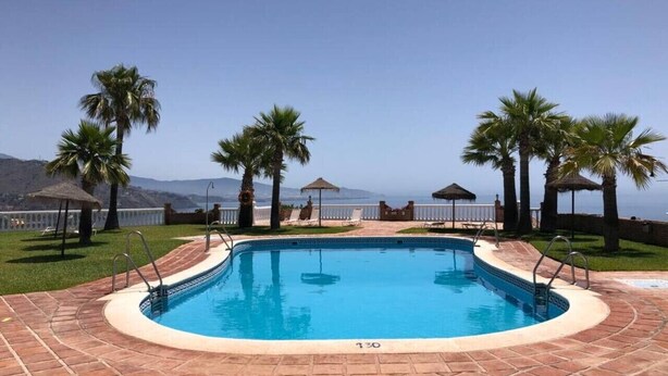 A rectangular swimming pool with a tiled deck, surrounded by palm trees and a view of the ocean.