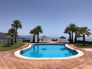 A rectangular swimming pool with a tiled deck, surrounded by palm trees and a view of the ocean.
