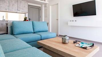 Flat-screen TV
