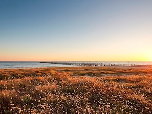 Een strand met een houten pier die zich uitstrekt over het water, omringd door grasduinen.