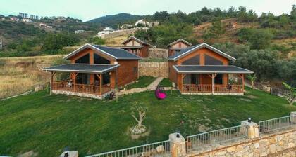 Koru Wooden House