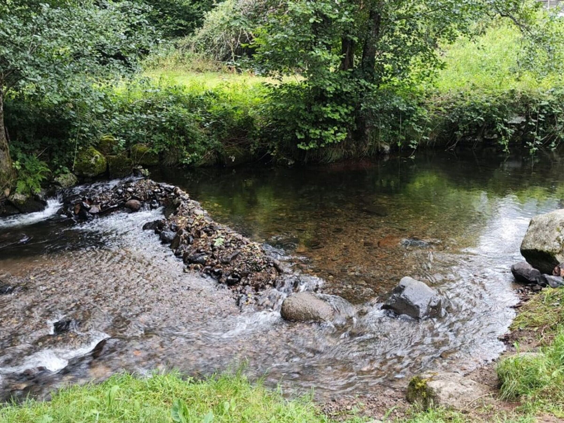 Un cours d’eau naturel, bordé de rochers et de végétation.