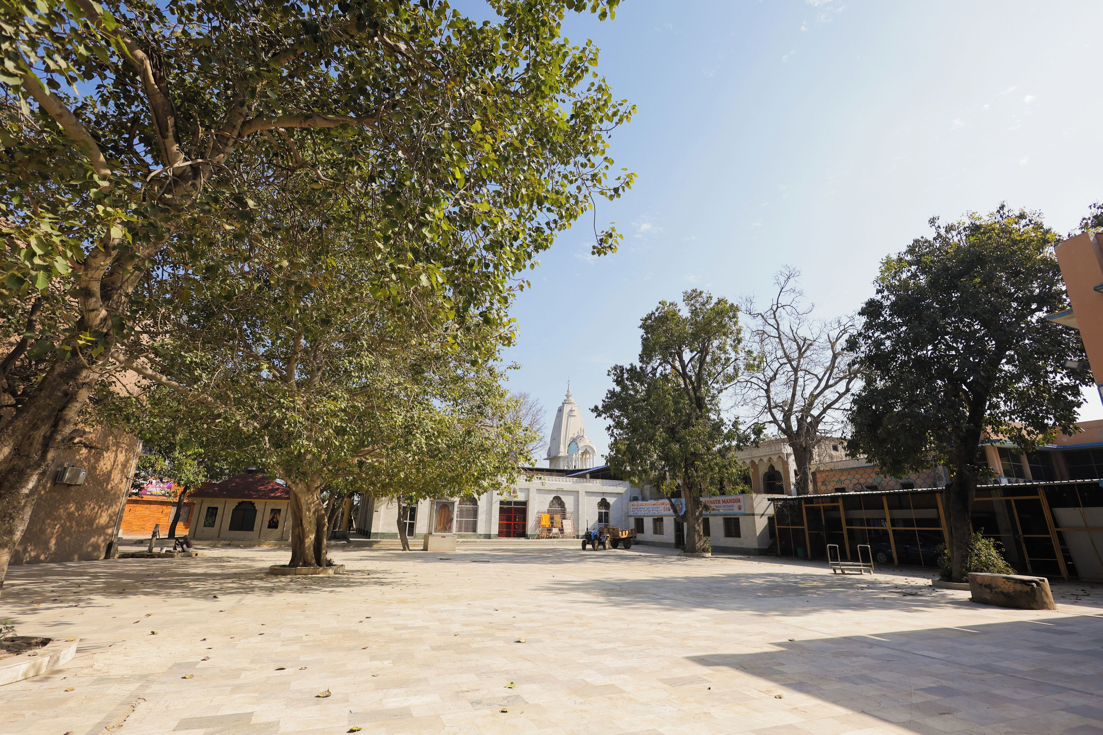 A courtyard with a large tree, a building with a dome, and a truck parked in the distance.