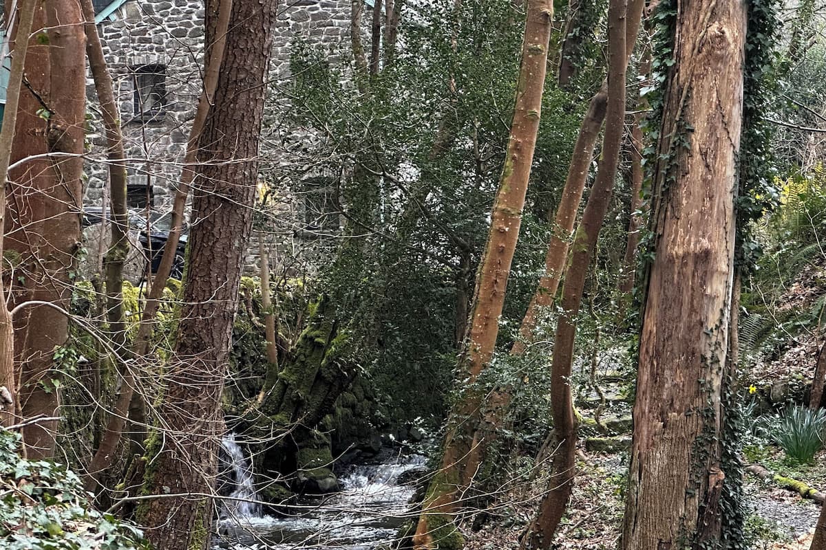 平房 | 其他設施