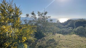 A natural landscape with a clear sky, a body of water, and vegetation.