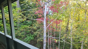Um deck de madeira com vista para uma floresta.
