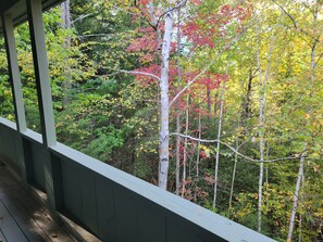 Property grounds - Official Seasons RMC Condo 21G - 2 bedrooms + loft - sleeps 8 - Dog Fees (Bartlett)