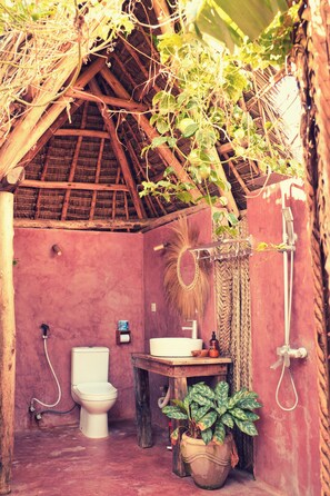 Shower, towels, soap, toilet paper