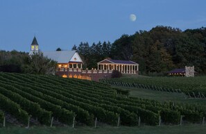 A vineyard with rows of grapevines, a large building with a triangular roof, and a tower in the background.