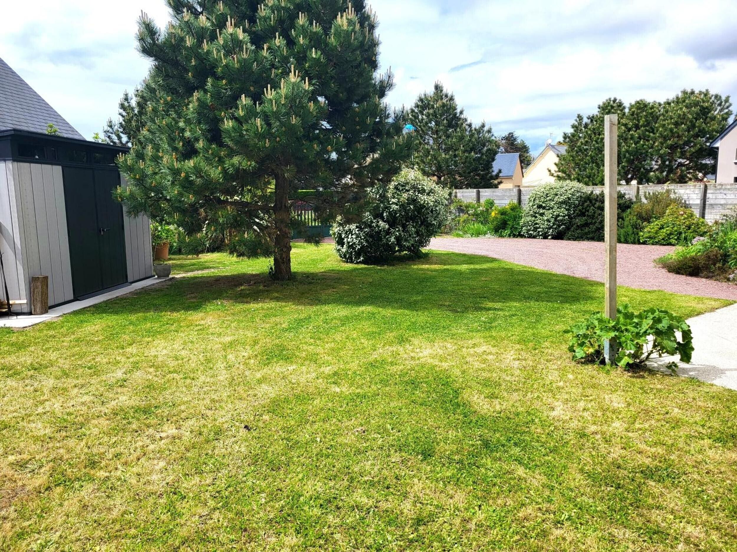 Une pelouse bien entretenue, agrémentée d’un grand arbre à feuilles persistantes, d’une clôture en bois et d’un petit jardin.