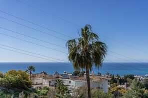Un quartier résidentiel en bord de mer, avec des maisons, un palmier et l’océan en arrière-plan.