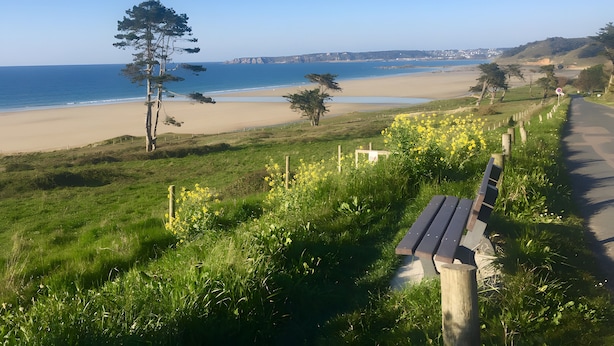 Eine Küstenstraße mit einer Bank, Rasenflächen und einem Strand in der Ferne.