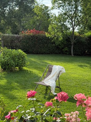 Un jardin avec une pelouse, un banc et des fleurs en pleine floraison.