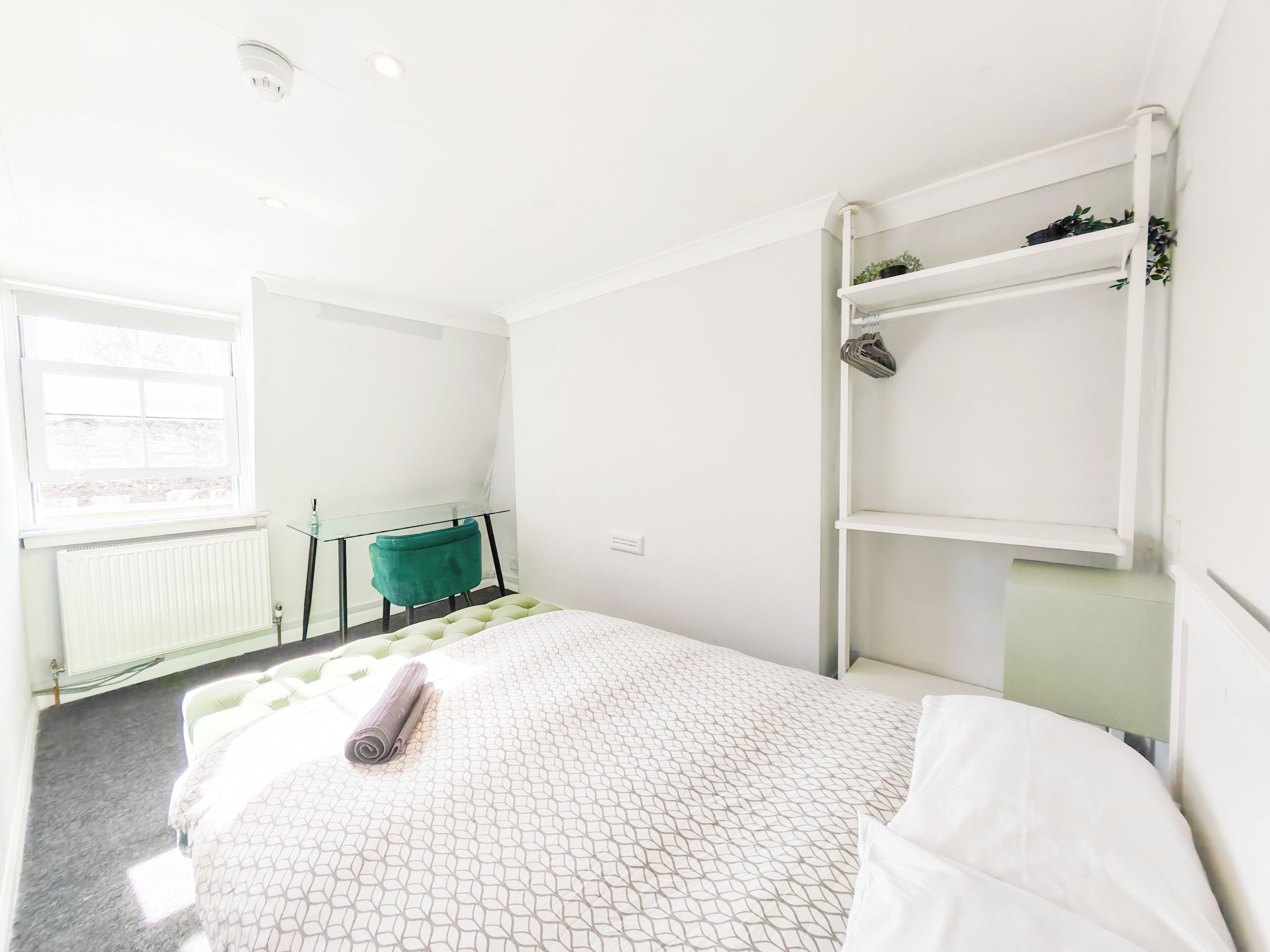 A room with a bed, a desk, and a shelf with plants.