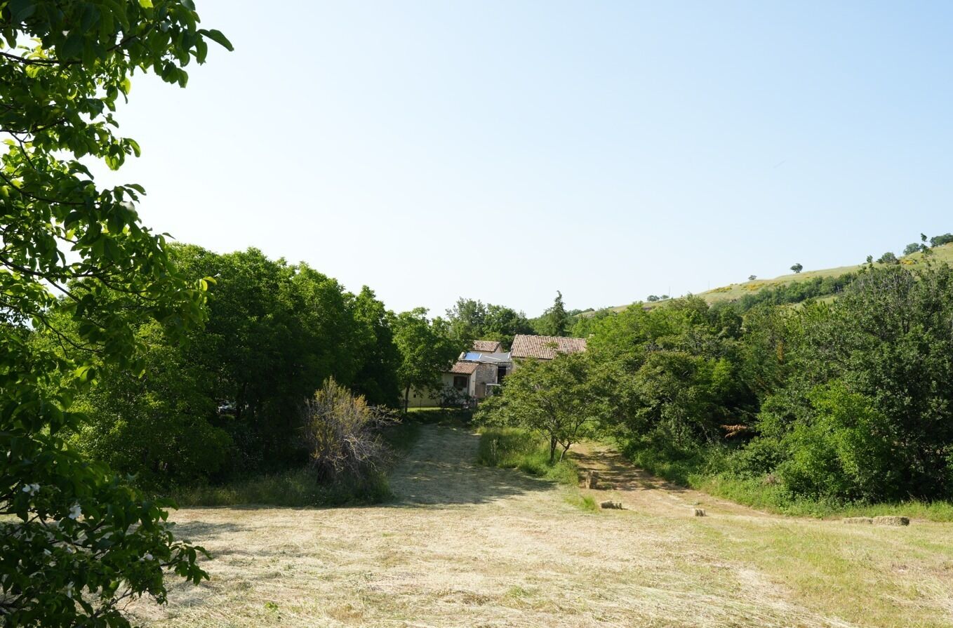 Un paisaje rural con una casa rodeada de abundante vegetación y un cielo despejado.