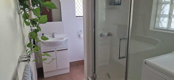 Un baño con ducha envuelta en vidrio, un lavamanos blanco y una planta en maceta.