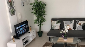 Ein Wohnzimmer mit Fernseher, Sofa, Couchtisch und einer Zimmerpflanze.