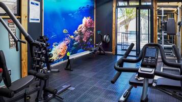 Kemudahan kecergasan