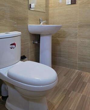 Shower, hair dryer, bidet, towels