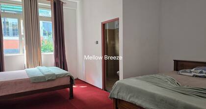 Mellow Breeze - Bungalow with quaint fireplace & living room in Nuwara Eliya