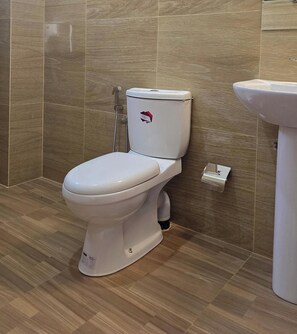 Shower, hair dryer, bidet, towels
