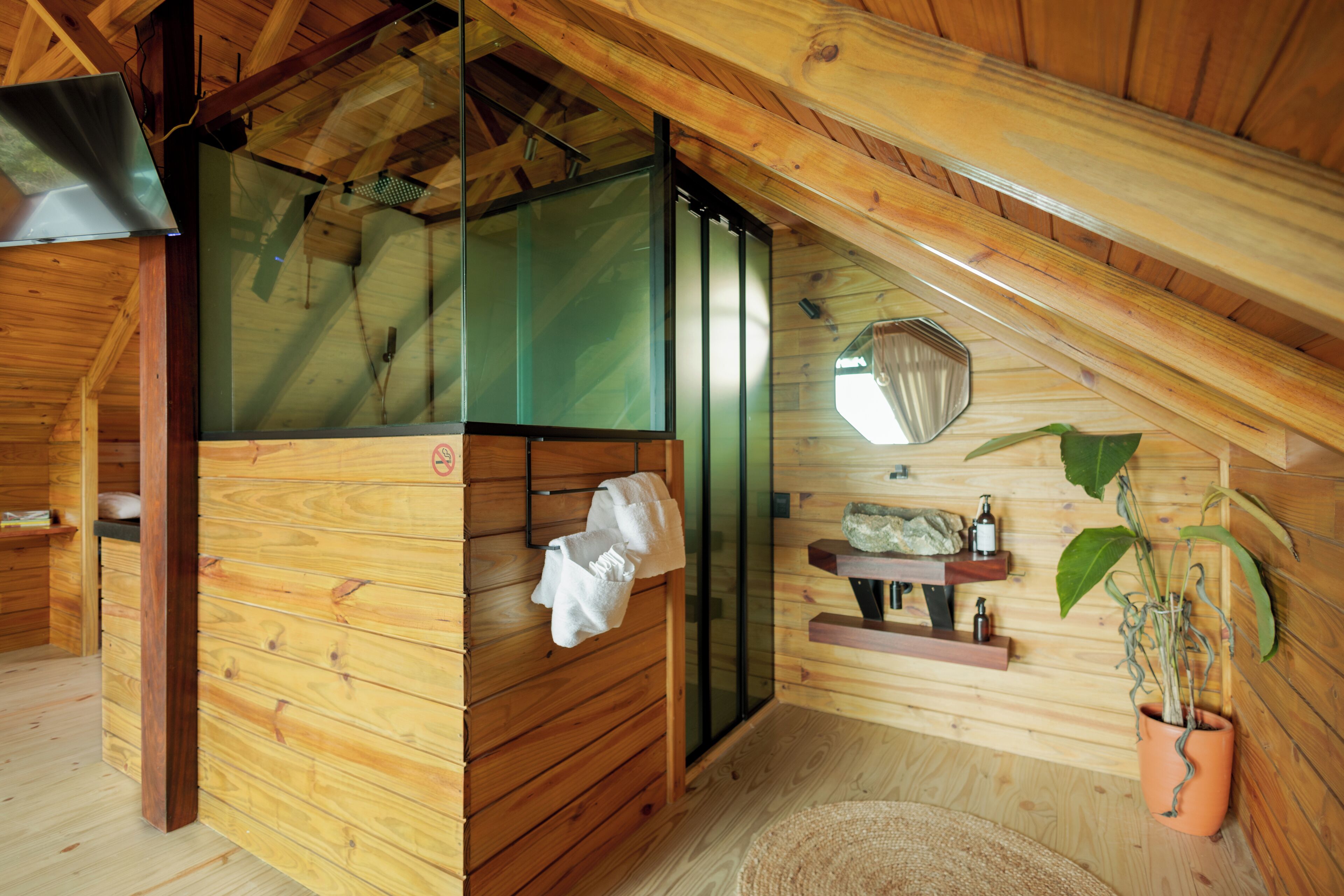 A wooden cabin with a sauna, a glass door, a mirror, and a potted plant.