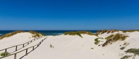 Playa