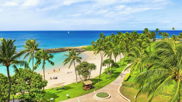 Un resort tropical frente a una playa de arena, con vista clara al océano y palmeras.