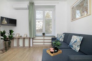 Fernseher, Arbeitsbereiche