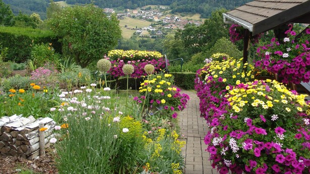 A garden with a variety of flowers, a pathway, and a view of a town in the distance.