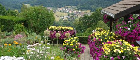 Overnatningsstedets område