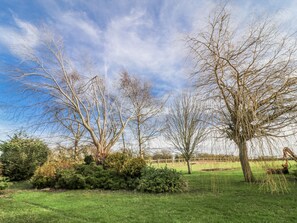 Property grounds - Cherry Trees (Grimsby)