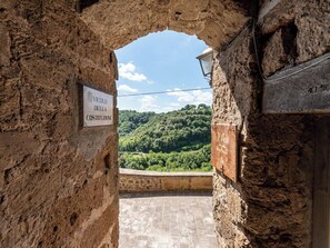 Property grounds - Il Nido sulla Terrazza  (Pitigliano)
