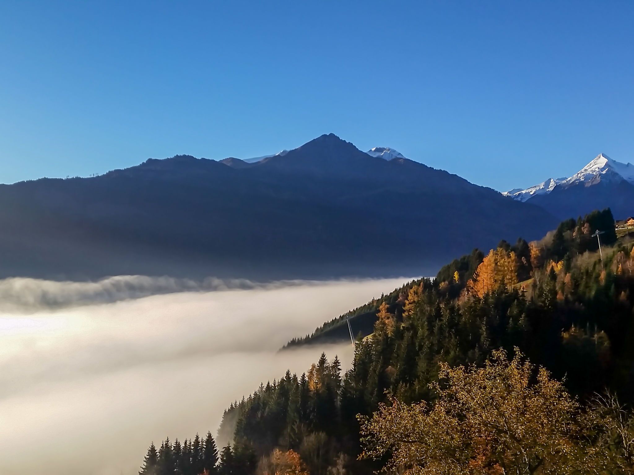 Diverse