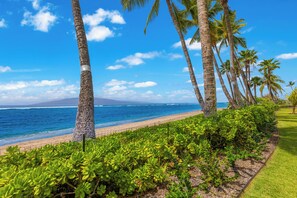 On the beach - 115 LS  Step Right Out to the Ocean (Lahaina)