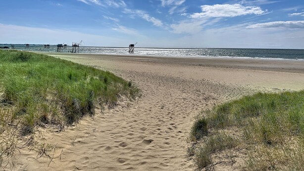 Une plage de sable bordée de dunes herbeuses, un ciel dégagé et une jetée visible au loin.