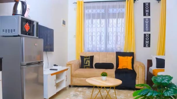 Um espaço compacto com cozinha americana, sofá, mesa de centro e uma planta.