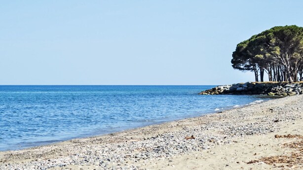 Ein Strand mit Kieselsteinen, wolkenlosem Himmel und Bäumen.