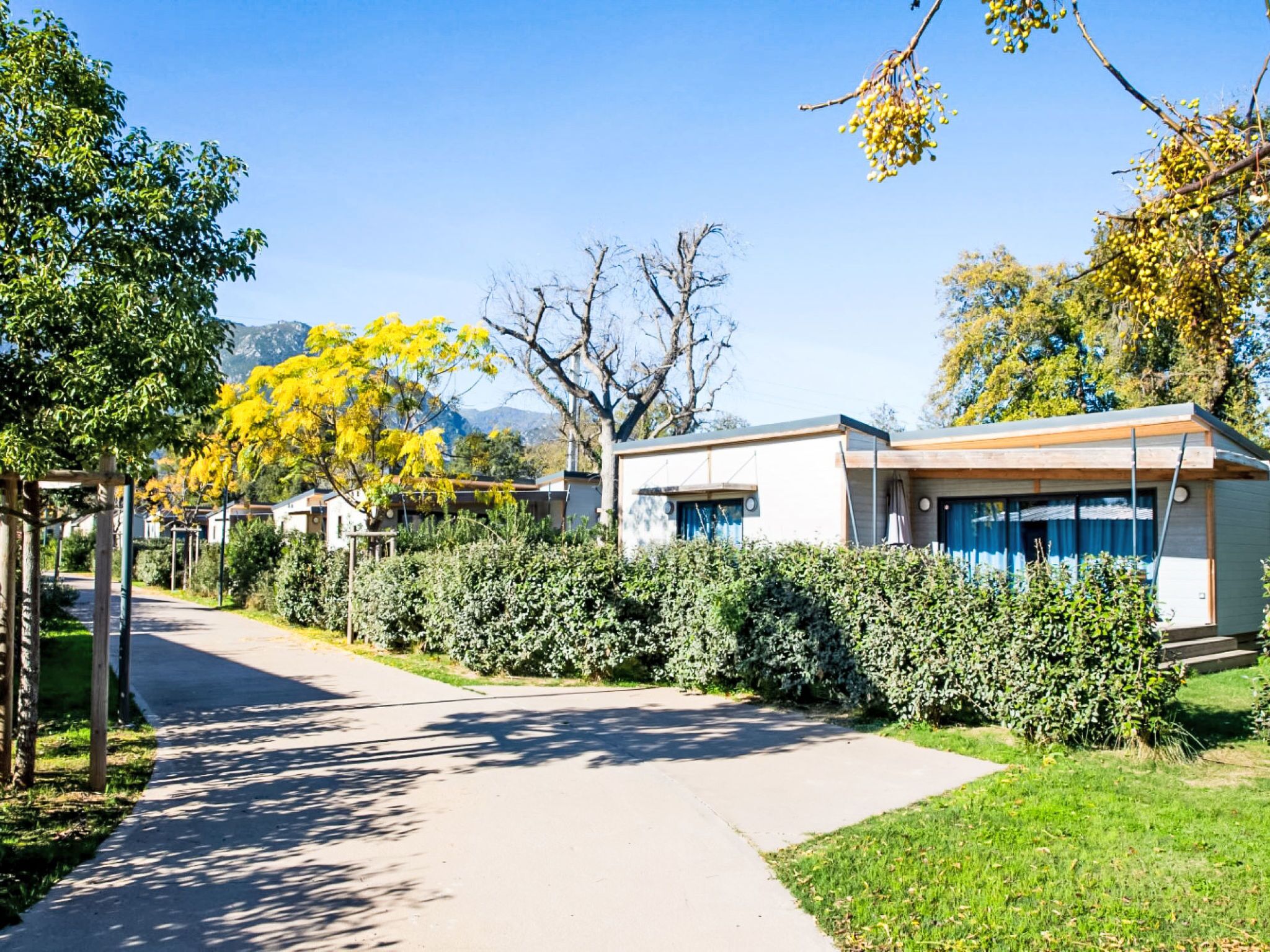 Ein Wohngebiet mit modernen Häusern, einer gepflasterten Straße und blauem Himmel.