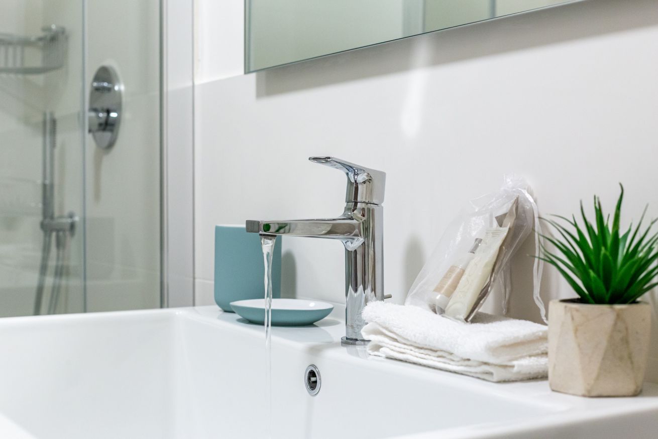 A bathroom with a white sink, a faucet, a glass shower enclosure, and a potted plant.