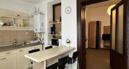 Apartament Gabriel groud floor in charming Sibiu perfect for relaxing stay