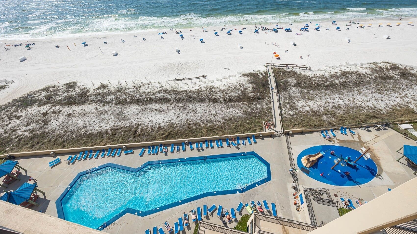 A swimming pool with blue water, surrounded by lounge chairs and umbrellas, with a beach and ocean in the background.