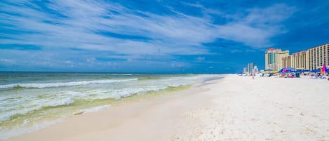 콘도, 침실 2개 | 해변