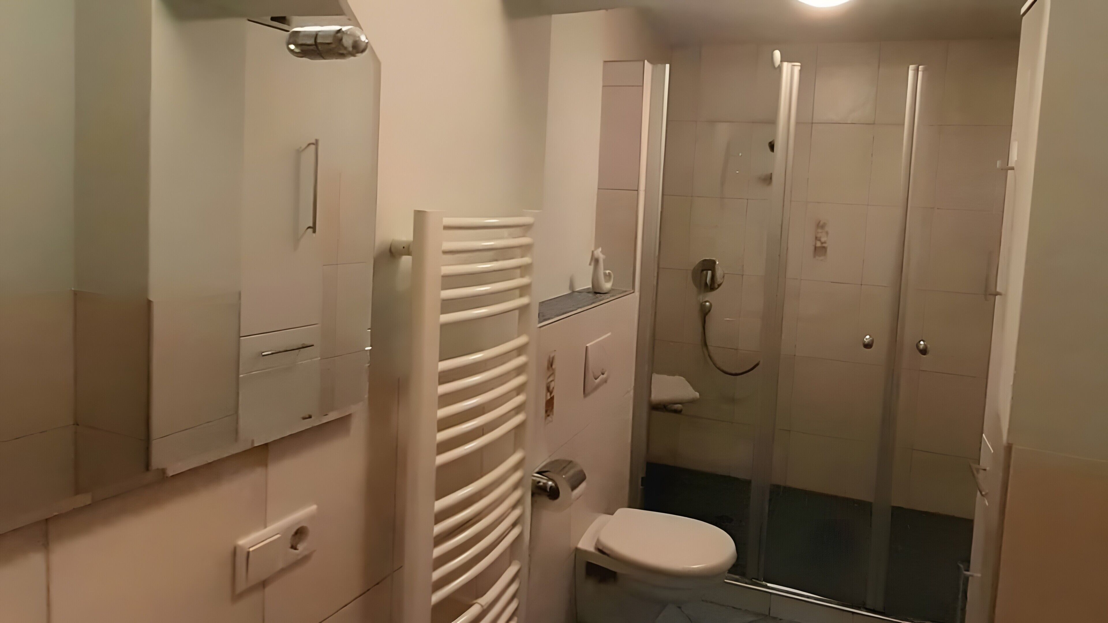 Ducha, secador de pelo y toallas