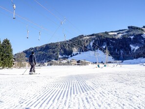 Sne- og skisport