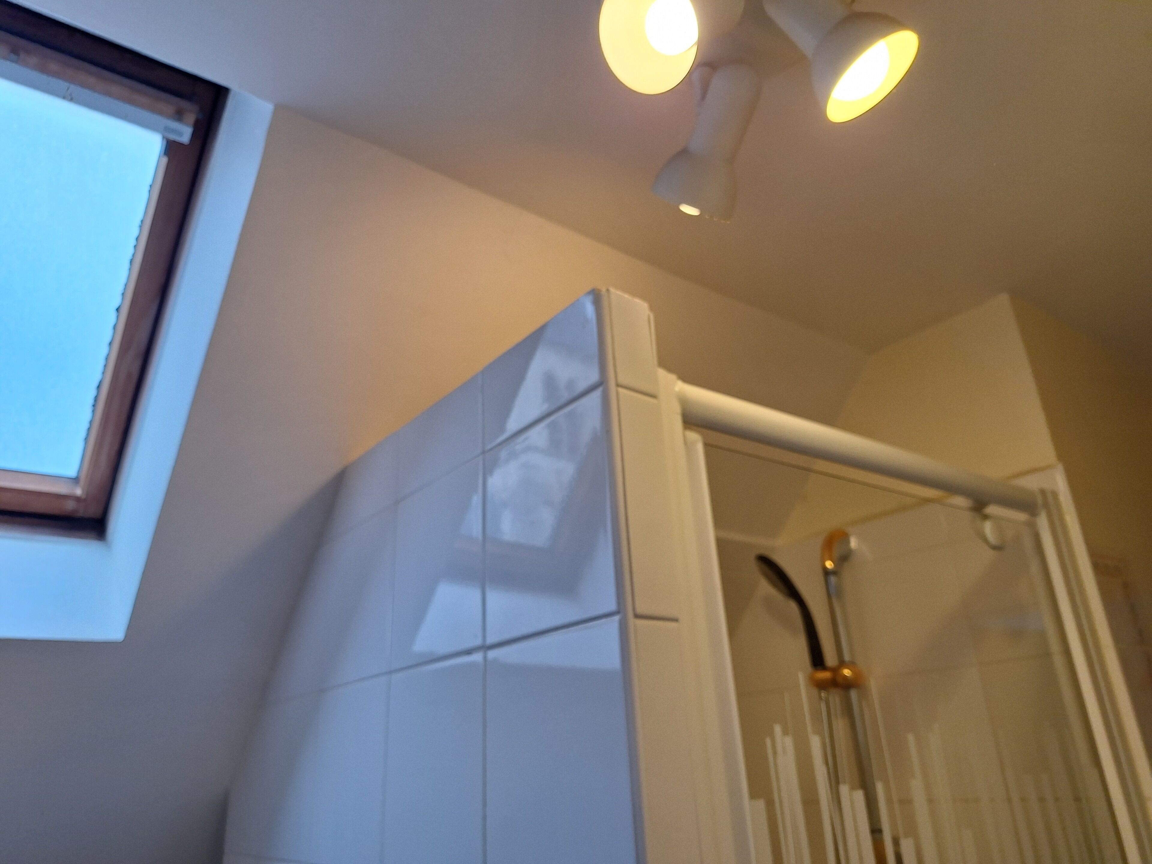 Baño con ducha, ventana y lámpara en el techo.