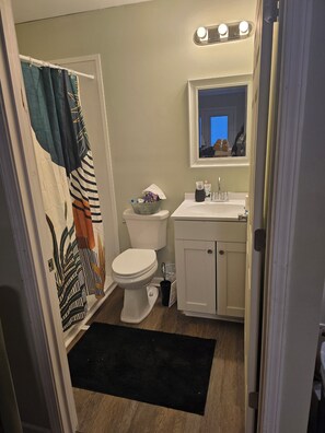 Bathroom - Beautiful private 1-bedroom studio with full kitchen in delightful Kernersville (Kernersville)