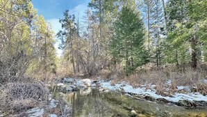 A forested area with a stream, trees, and snow on the ground. - Tranquil Studio at Eagle Creek (Idyllwild-Pine Cove)