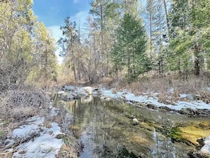 A forested area with a stream, trees, and snow on the ground.